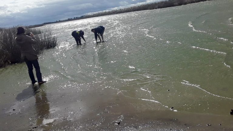 Poniendo el cuerpo a los herbicidas