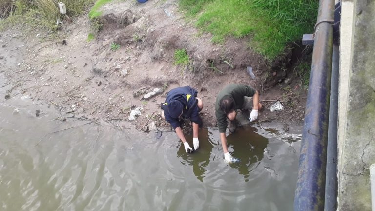 Hallaron Glifosato en la plaza de Lobos y en agua potable